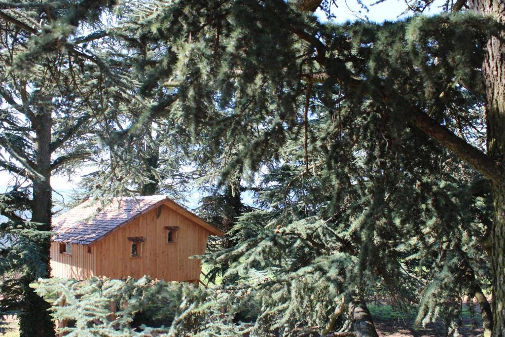 Domaine Des Grands Cedres Bed & Breakfast Cordelle Room photo