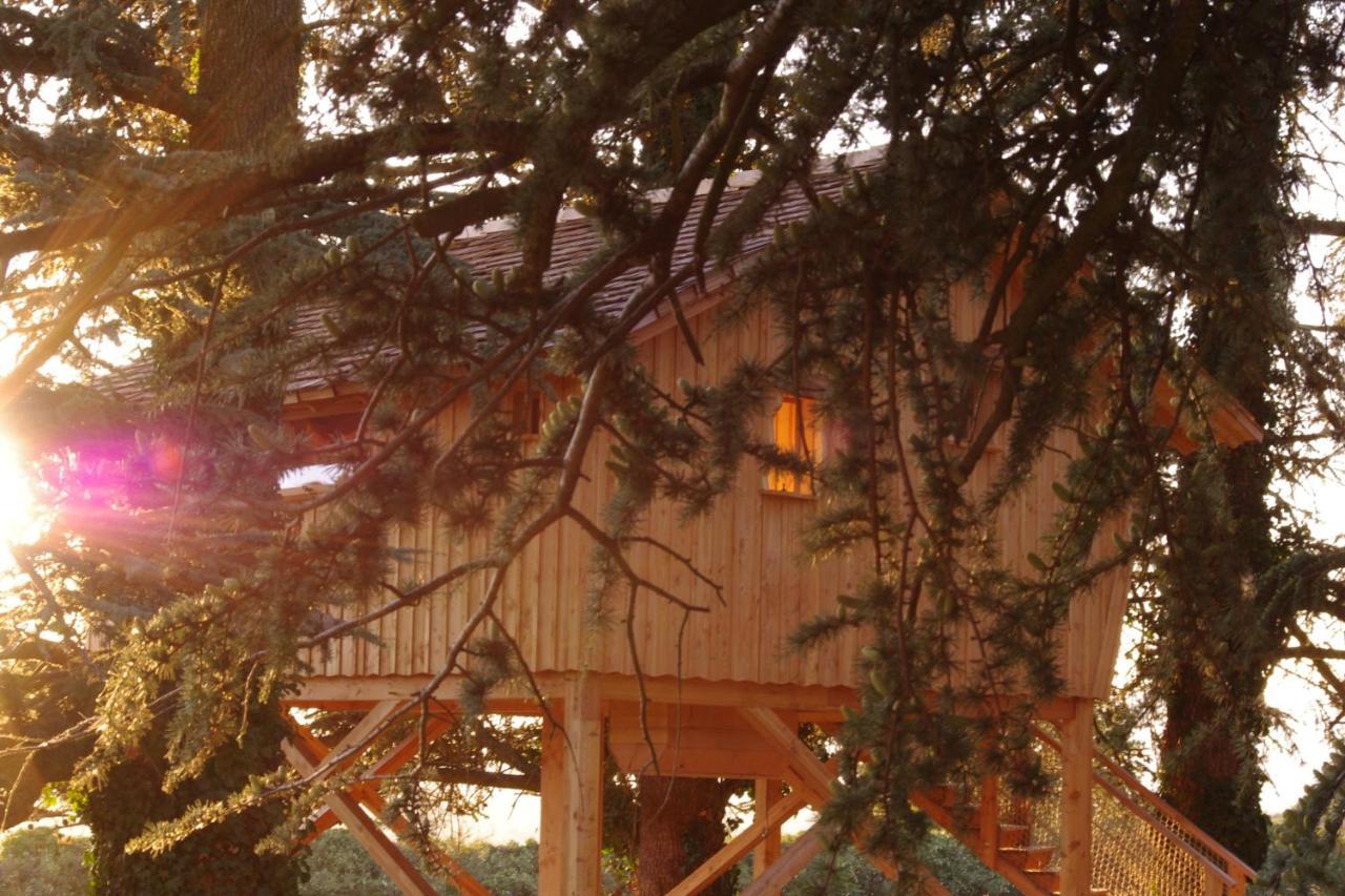 Domaine Des Grands Cedres Bed & Breakfast Cordelle Room photo